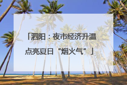 泗阳：夜市经济升温 点亮夏日“烟火气”