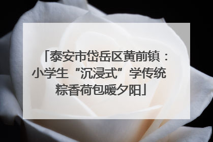 泰安市岱岳区黄前镇：小学生“沉浸式”学传统 粽香荷包暖夕阳