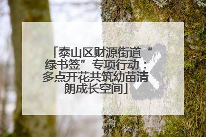 泰山区财源街道“绿书签”专项行动：多点开花共筑幼苗清朗成长空间