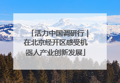 活力中国调研行｜在北京经开区感受机器人产业创新发展