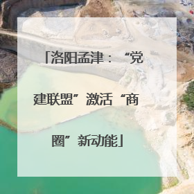洛阳孟津：“党建联盟”激活“商圈”新动能