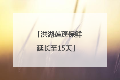 洪湖莲蓬保鲜延长至15天