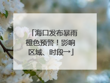 海口发布暴雨橙色预警！影响区域、时段→