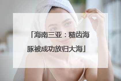 海南三亚：糙齿海豚被成功放归大海