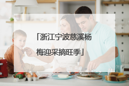 浙江宁波慈溪杨梅迎采摘旺季