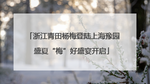 浙江青田杨梅登陆上海豫园 盛夏“梅”好盛宴开启