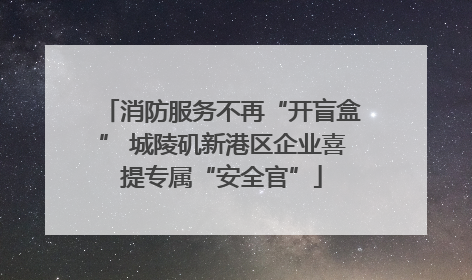 消防服务不再“开盲盒” 城陵矶新港区企业喜提专属“安全官”