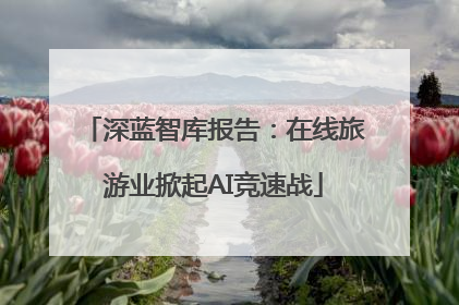 深蓝智库报告：在线旅游业掀起AI竞速战