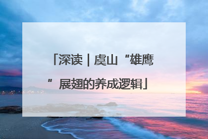 深读｜虞山“雄鹰”展翅的养成逻辑