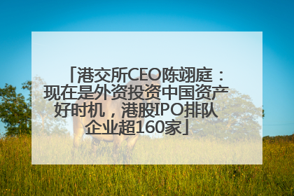 港交所CEO陈翊庭：现在是外资投资中国资产好时机，港股IPO排队企业超160家