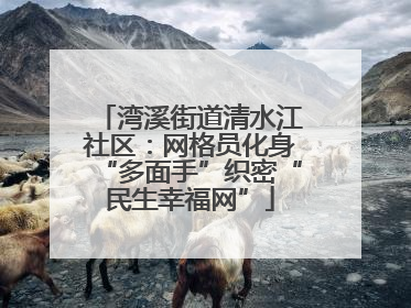 湾溪街道清水江社区：网格员化身“多面手”织密“民生幸福网”