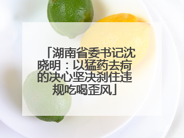 湖南省委书记沈晓明：以猛药去疴的决心坚决刹住违规吃喝歪风