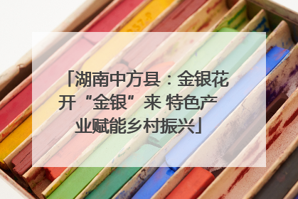 湖南中方县：金银花开“金银”来 特色产业赋能乡村振兴