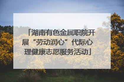 湖南有色金属职院开展“劳动润心”代际心理健康志愿服务活动