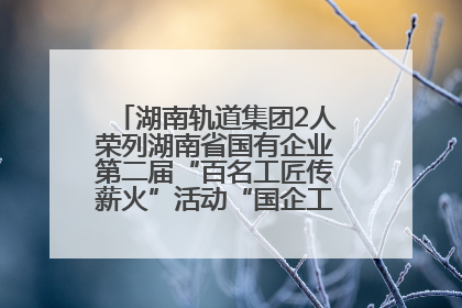 湖南轨道集团2人荣列湖南省国有企业第二届“百名工匠传薪火”活动“国企工匠”人才宣传名单