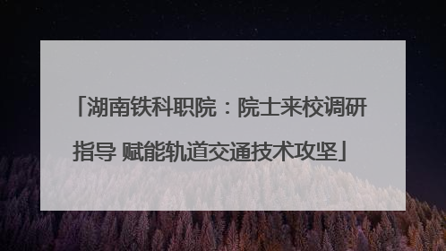 湖南铁科职院：院士来校调研指导 赋能轨道交通技术攻坚