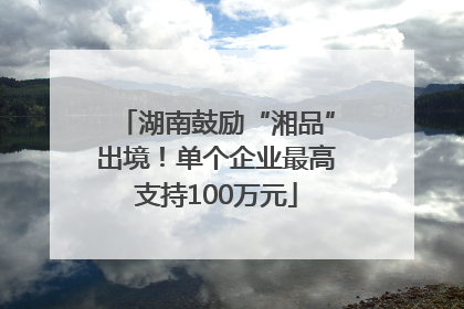湖南鼓励“湘品”出境！单个企业最高支持100万元
