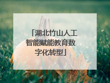 湖北竹山人工智能赋能教育数字化转型