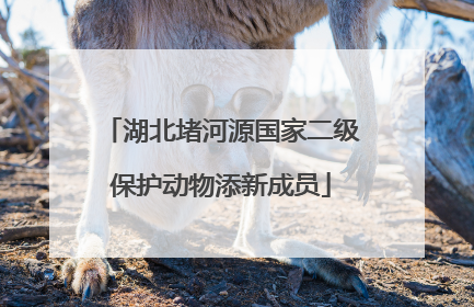 湖北堵河源国家二级保护动物添新成员