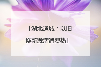 湖北通城：以旧换新激活消费热
