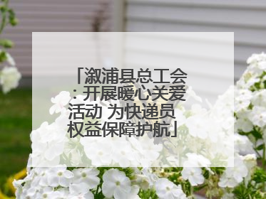 溆浦县总工会：开展暖心关爱活动 为快递员权益保障护航