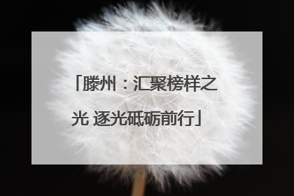 滕州：汇聚榜样之光 逐光砥砺前行