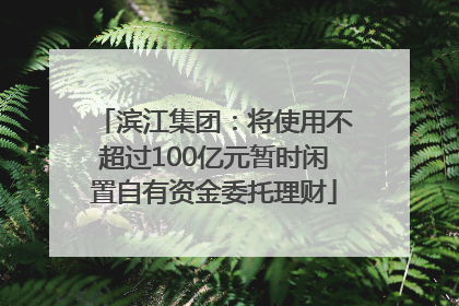滨江集团：将使用不超过100亿元暂时闲置自有资金委托理财