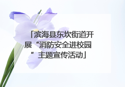 滨海县东坎街道开展“消防安全进校园”主题宣传活动