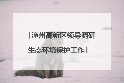 漳州高新区领导调研生态环境保护工作