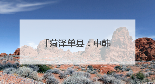 菏泽单县：中韩青年云端共赏“国色天香” 牡丹文化架起友谊桥梁