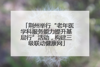 荆州举行“老年医学科服务能力提升基层行”活动，构建三级联动健康网
