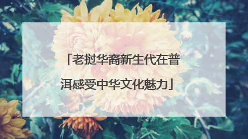 老挝华裔新生代在普洱感受中华文化魅力
