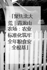 聚焦北大荒｜青龙山农场：农业标准化筑牢全年粮食安全根基