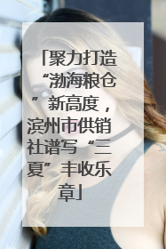 聚力打造“渤海粮仓”新高度，滨州市供销社谱写“三夏”丰收乐章