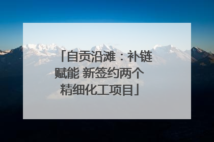 自贡沿滩：补链赋能 新签约两个精细化工项目