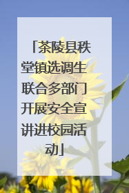 茶陵县秩堂镇选调生联合多部门开展安全宣讲进校园活动