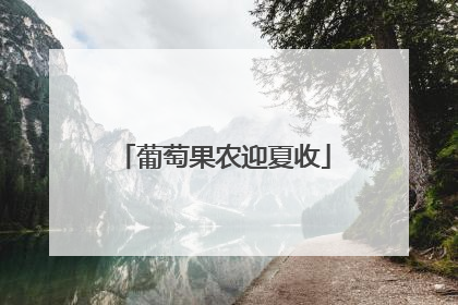 葡萄果农迎夏收