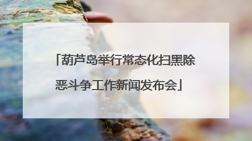 葫芦岛举行常态化扫黑除恶斗争工作新闻发布会