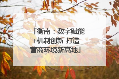 衡南：数字赋能+机制创新 打造营商环境新高地