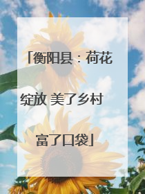 衡阳县：荷花绽放 美了乡村 富了口袋