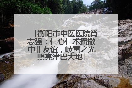 衡阳市中医医院肖志强：仁心仁术播撒中非友谊，岐黄之光照亮津巴大地