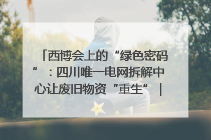 西博会上的“绿色密码”：四川唯一电网拆解中心让废旧物资“重生”｜西博寻“新”记