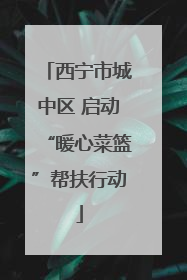 西宁市城中区 启动“暖心菜篮”帮扶行动