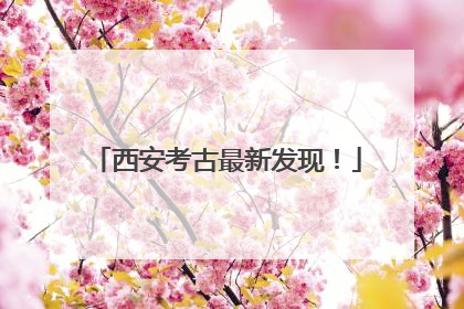 西安考古最新发现！
