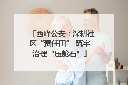 西峰公安：深耕社区“责任田” 筑牢治理“压舱石”