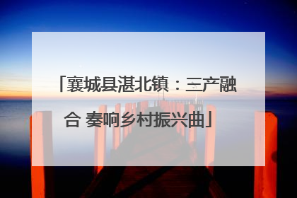 襄城县湛北镇：三产融合 奏响乡村振兴曲