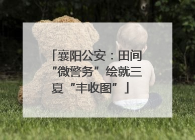 襄阳公安：田间“微警务”绘就三夏“丰收图”