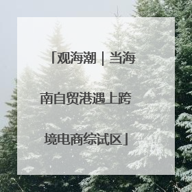 观海潮｜当海南自贸港遇上跨境电商综试区