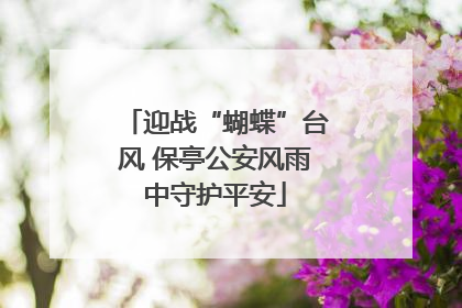 迎战“蝴蝶”台风 保亭公安风雨中守护平安