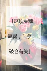 这顶麦穗冠冕，与拿破仑有关